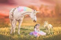 Kinsley Unicorn